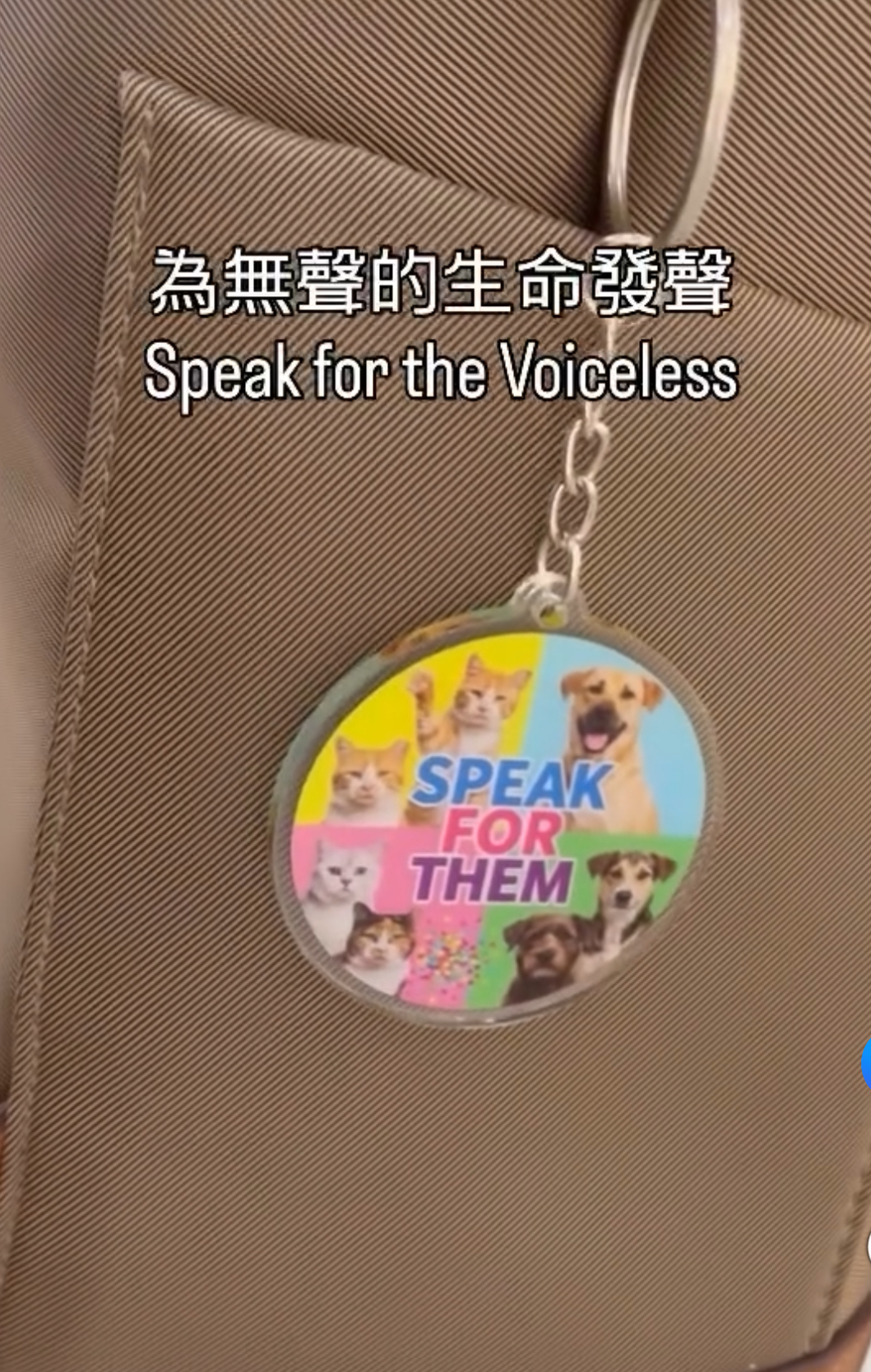 義賣籌款-鎖匙扣為浪浪籌集醫療費用